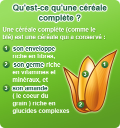 http://zoheck.cowblog.fr/images/cereales2.jpg